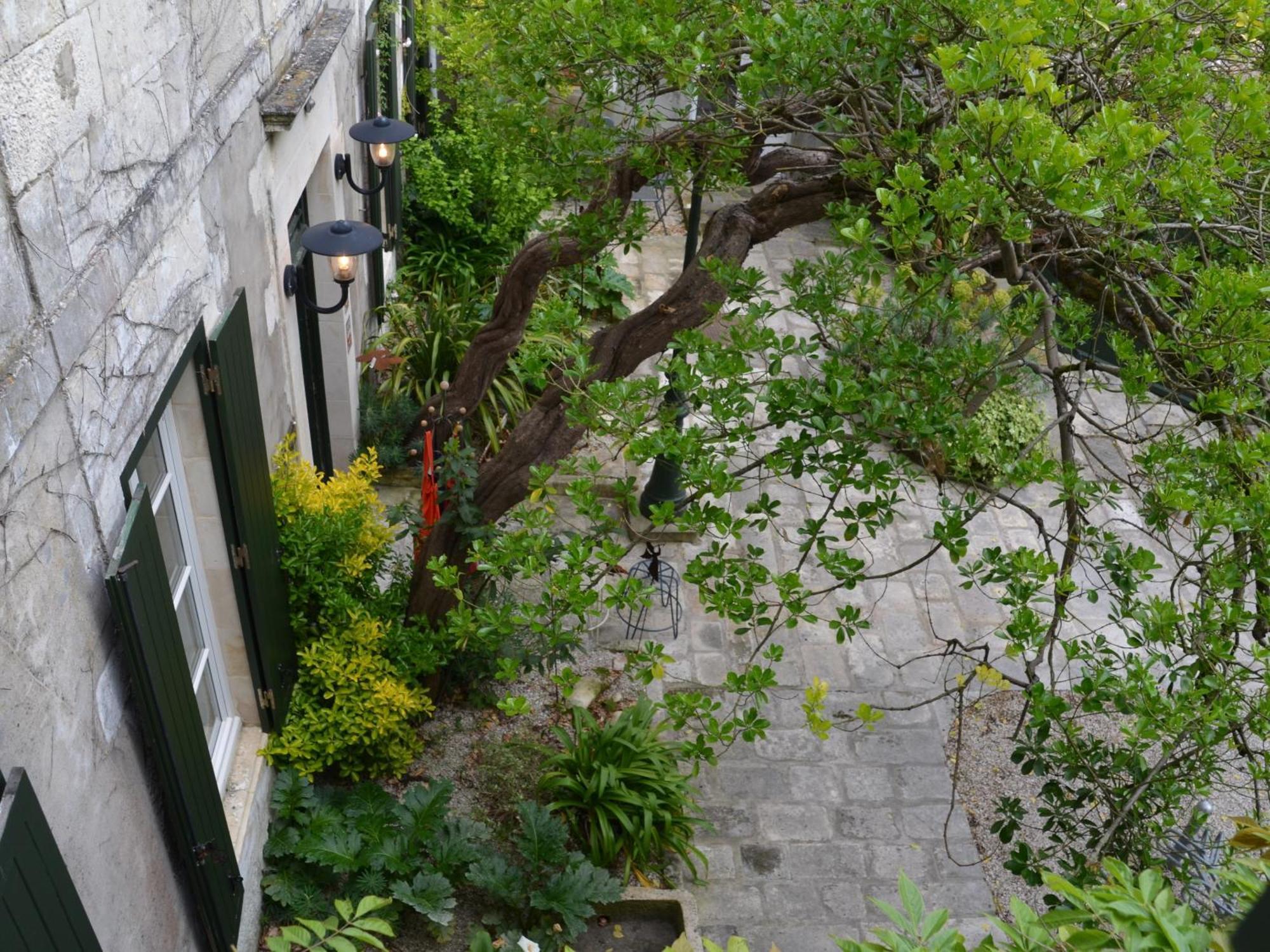 Le Mole Bed & Breakfast La Flotte Rom bilde
