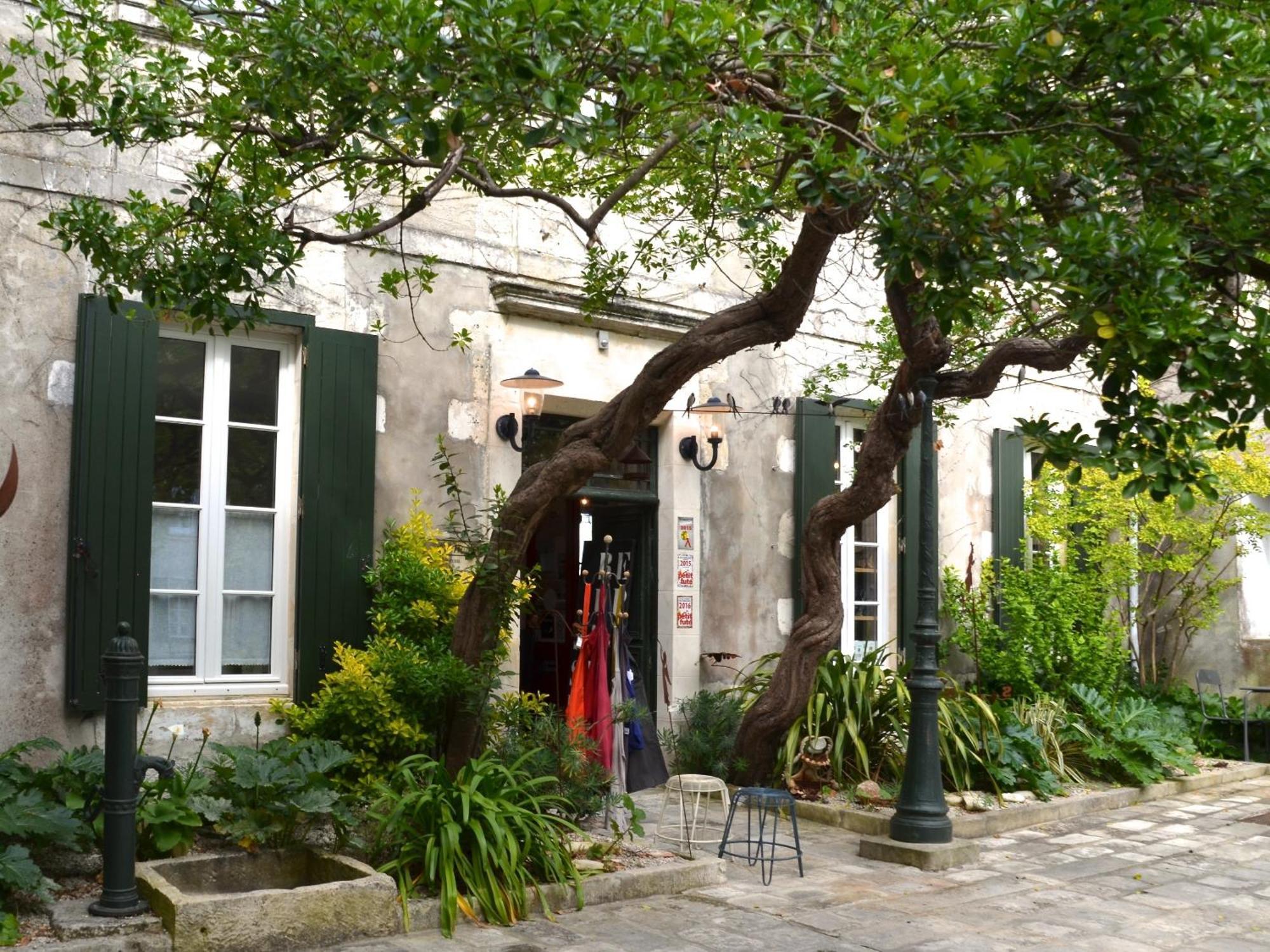 Le Mole Bed & Breakfast La Flotte Eksteriør bilde